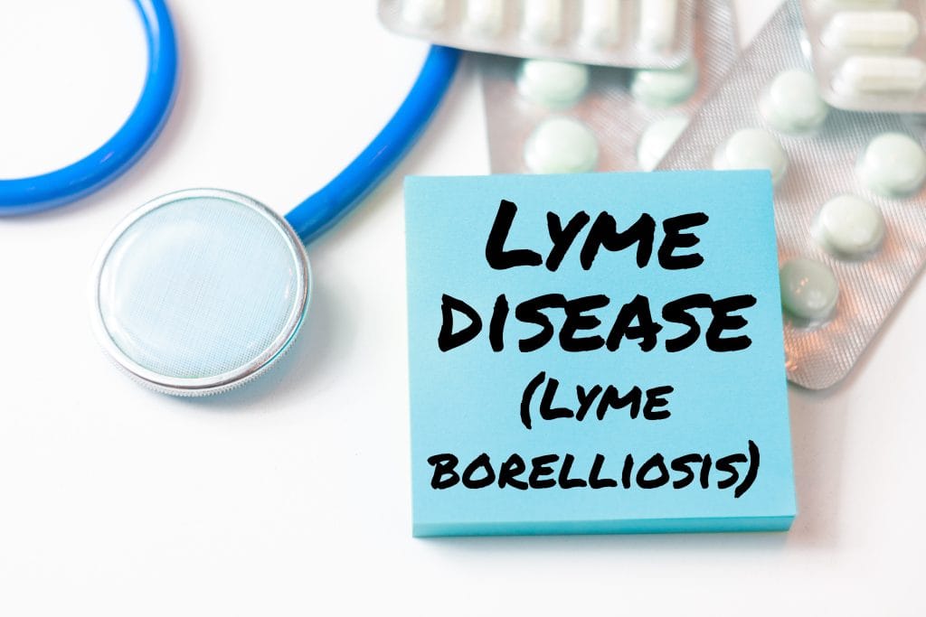 joint-pain-brain-fog-fatigue-these-might-be-hidden-signs-of-lyme-disease