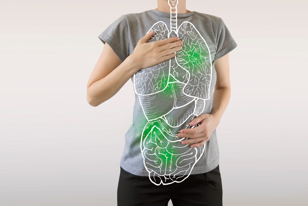 the-role-of-detox-in-healing-from-lyme-disease-and-co-infections