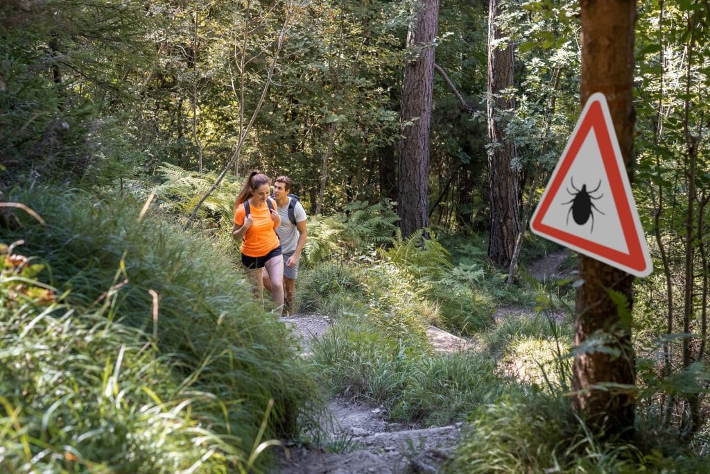 lyme-disease-coinfections-what-are-they